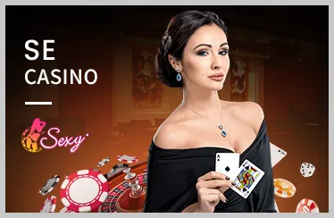 Giao diện quản lý tùy chọn cookie của người dùng trên bwin login.